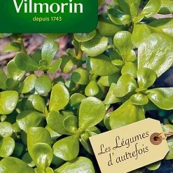 Graines De Pourpier Doré à Large Feuille Vilmorin