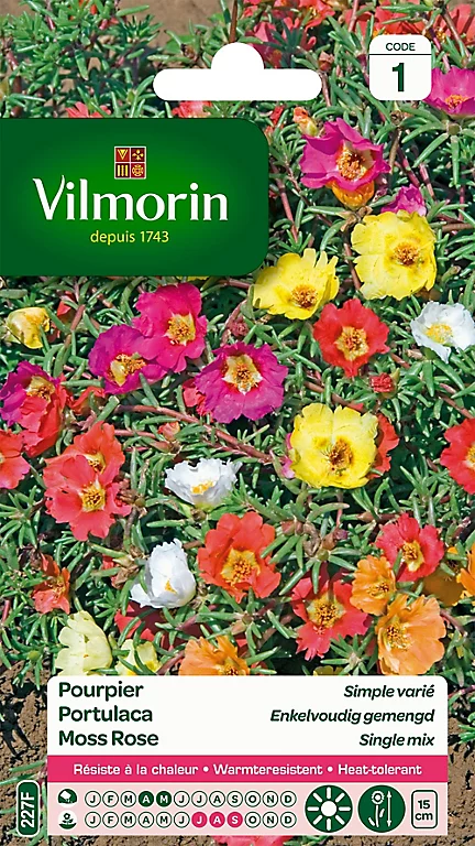 Graines De Pourpier Grande Fleur Simple Varié Vilmorin