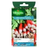Vilmorin Graines De Radis Expo Hybride F1