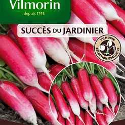 Graines De Radis Fluo Hybride F1 Vilmorin