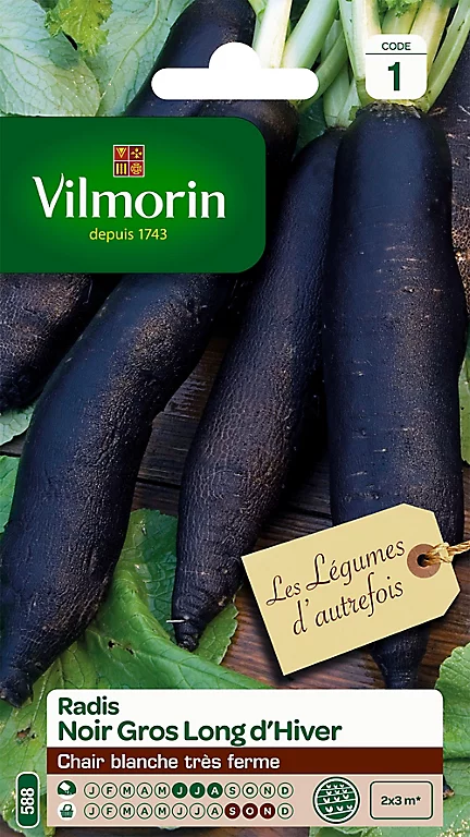 Graines De Radis Noir Gros Long D'Hiver Vilmorin