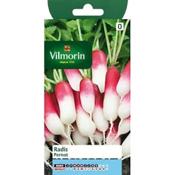 Vilmorin Graines De Radis Pernot