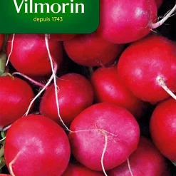 Graines De Radis Rond Ecarlate Géant De Wurzbourg Vilmorin