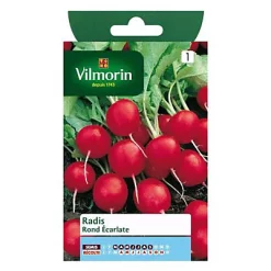 Vilmorin Graines De Radis Rond Ecarlate
