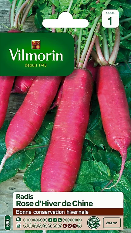 Graines De Radis Rose D'Hiver De Chine Vilmorin
