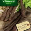 Graines De Scorsonère Géante Noire De Russie Vilmorin