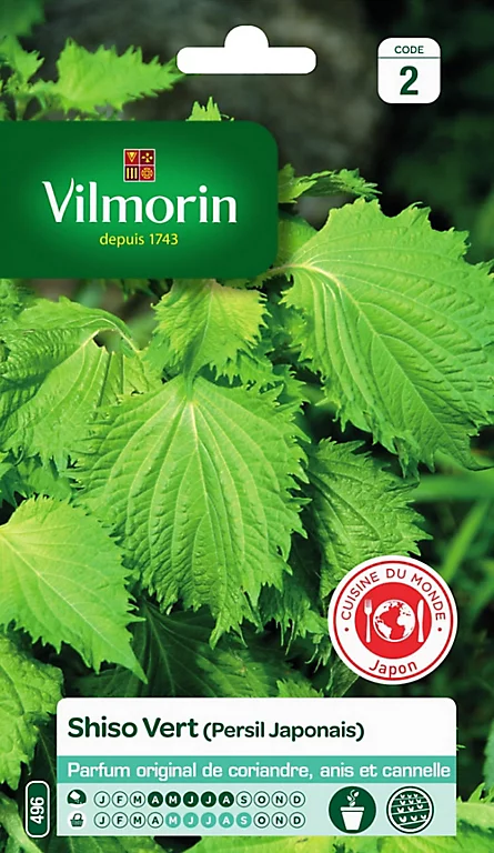 Vilmorin Graines De Shiso Vert VL 2