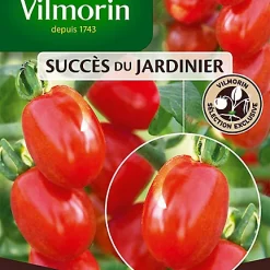 Vilmorin Graines De Tomate Aligote HF1