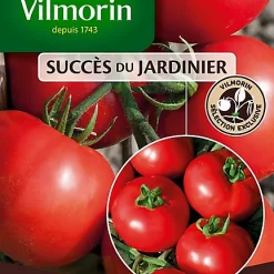 Graines De Tomate Dona Hybride F1 Vilmorin