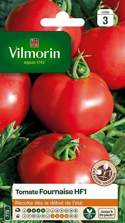 Graines De Tomate Fournaise Hybride F1 Vilmorin