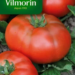 Graines De Tomate Marmande Vilmorin