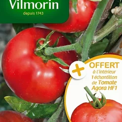 Graines De Tomate Saint Pierre Vilmorin