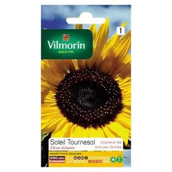 Vilmorin Graines De Tournesol Géant