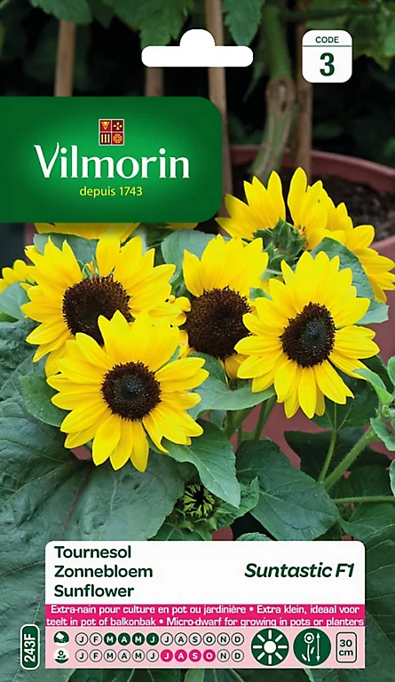 Vilmorin Graines De Tournesol Suntastic F1 VL3