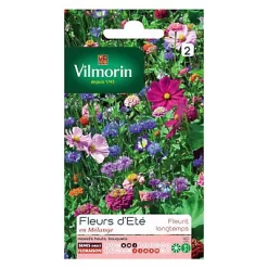 Graines Jolies Fleurs D'été Vilmorin