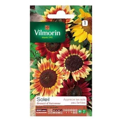 Graines Soleil Beauté D'Automne Vilmorin