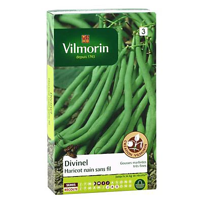 Vilmorin Haricot Ă Filets Sans Fil Divinel