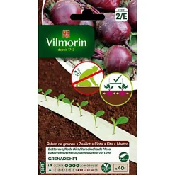 Vilmorin Ruban Betterave Grenade HF1 5m