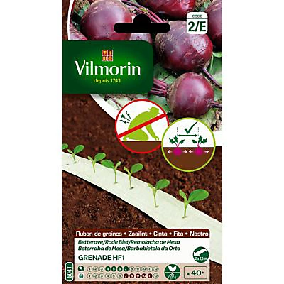Vilmorin Ruban Betterave Grenade HF1 5m