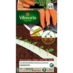 Vilmorin Ruban Carotte Nanco HF1 5m