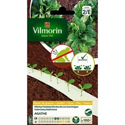 Vilmorin Ruban Mâche Agathe HF1 5m