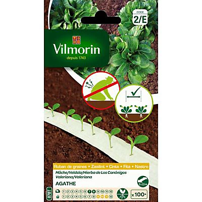 Vilmorin Ruban Mâche Agathe HF1 5m